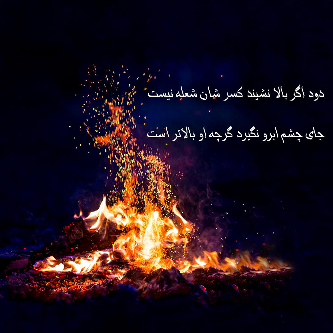 شعر فارسی مایه اصل و نسب در گردش دوران زر است