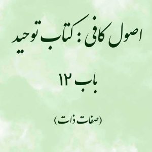 اصول کافی: کتاب توحید، باب 12 (صفات ذات)