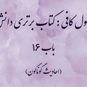 اصول کافی: کتاب برتری دانش، باب 16 (احادیث گوناگون)
