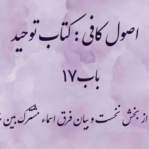اصول کافی: کتاب توحید، باب 17 (بخش دیگری از بخش نخست و بیان فرق اسماء مشترک بین خدا و مخلوقین)