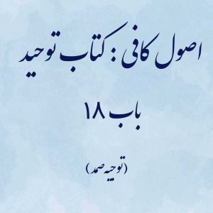 اصول کافی: کتاب توحید، باب 18 (توجیه صمد)
